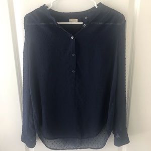 J. Crew Navy Sheer Blouse